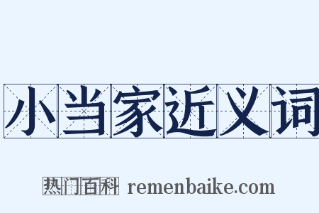 小当家近义词是什么意思的图片